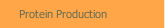 Protein Production