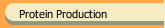 Protein Production