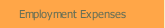 Employment Expenses