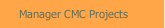 Manager CMC Projects