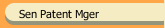 Sen Patent Mger