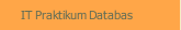 IT Praktikum Databas