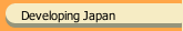 Developing Japan