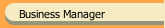 Business Manager