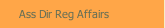 Ass Dir Reg Affairs