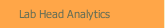 Lab Head Analytics
