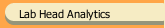 Lab Head Analytics