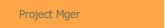 Project Mger