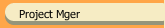 Project Mger